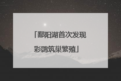 鄱阳湖首次发现彩鹮筑巢繁殖