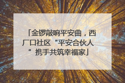 金锣敲响平安曲，西厂口社区“平安合伙人”携手共筑幸福家