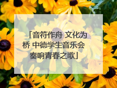 音符作舟 文化为桥 中德学生音乐会奏响青春之歌
