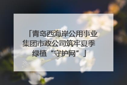 青岛西海岸公用事业集团市政公司筑牢夏季绿植“守护网”
