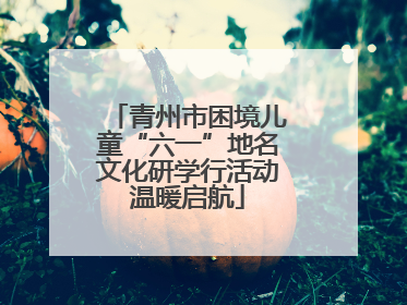 青州市困境儿童“六一”地名文化研学行活动温暖启航