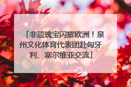 非遗瑰宝闪耀欧洲！泉州文化体育代表团赴匈牙利、塞尔维亚交流