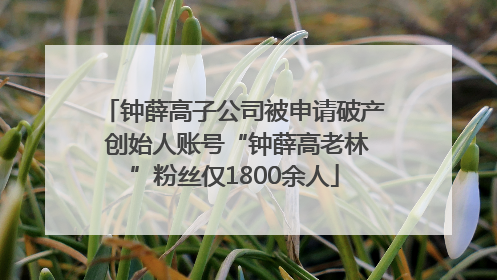钟薛高子公司被申请破产 创始人账号“钟薛高老林”粉丝仅1800余人