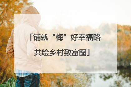 铺就“梅”好幸福路 共绘乡村致富图
