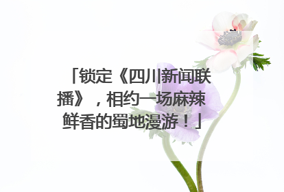 锁定《四川新闻联播》，相约一场麻辣鲜香的蜀地漫游！
