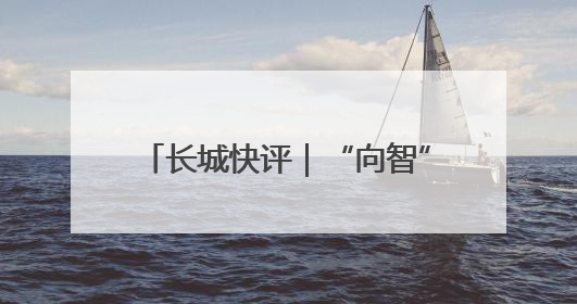 长城快评｜“向智”而行，建设全国现代商贸物流重要基地