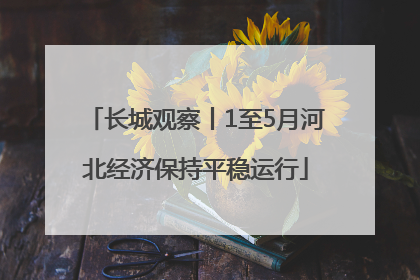 长城观察丨1至5月河北经济保持平稳运行