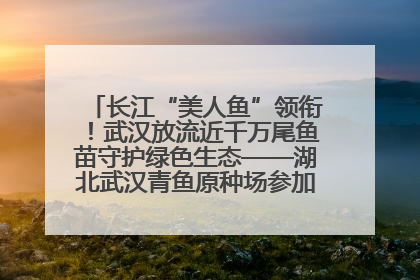 长江“美人鱼”领衔！武汉放流近千万尾鱼苗守护绿色生态——湖北武汉青鱼原种场参加2025年“全国放鱼日”增殖放流活动