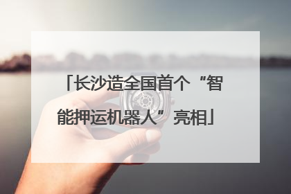 长沙造全国首个“智能押运机器人”亮相