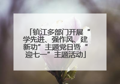 镇江多部门开展“学先进、强作风、建新功”主题党日暨“迎七一”主题活动
