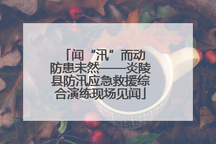 闻“汛”而动 防患未然——炎陵县防汛应急救援综合演练现场见闻