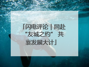 闪电评论｜同赴“友城之约” 共襄发展大计