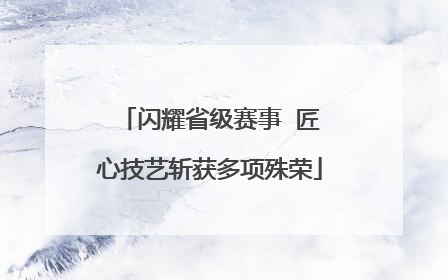 闪耀省级赛事  匠心技艺斩获多项殊荣