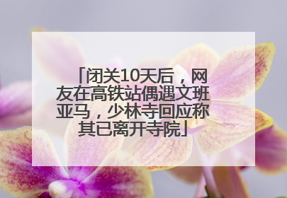 闭关10天后，网友在高铁站偶遇文班亚马，少林寺回应称其已离开寺院