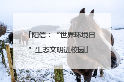 阳信：“世界环境日”生态文明进校园