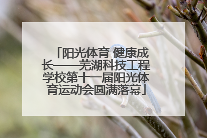 阳光体育 健康成长——芜湖科技工程学校第十一届阳光体育运动会圆满落幕