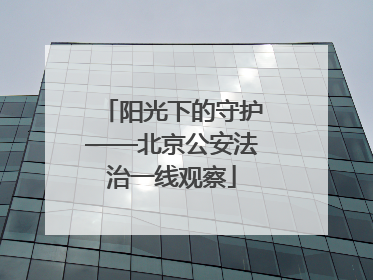阳光下的守护——北京公安法治一线观察