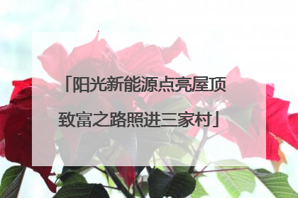 阳光新能源点亮屋顶 致富之路照进三家村