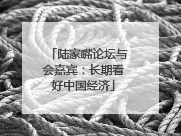 陆家嘴论坛与会嘉宾：长期看好中国经济