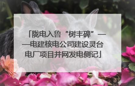 陇电入鲁“树丰碑”——电建核电公司建设灵台电厂项目并网发电侧记