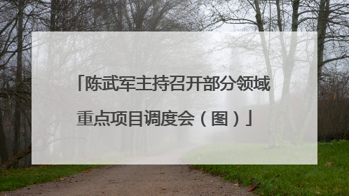陈武军主持召开部分领域重点项目调度会（图）