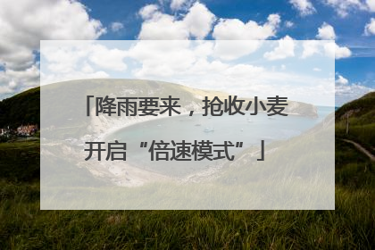 降雨要来，抢收小麦开启“倍速模式”