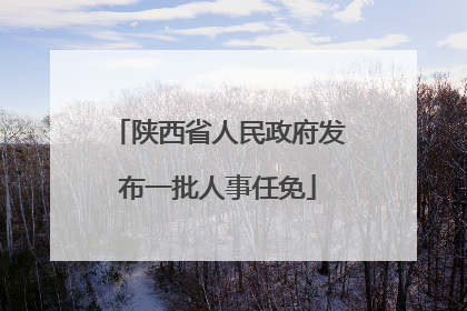 陕西省人民政府发布一批人事任免