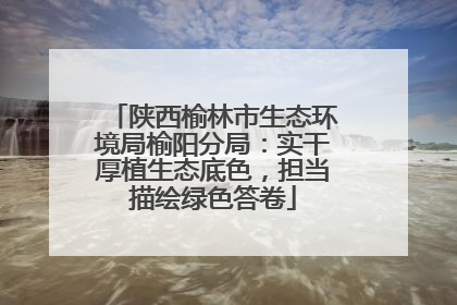 陕西榆林市生态环境局榆阳分局：实干厚植生态底色，担当描绘绿色答卷
