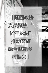 隆回政协委员聚焦“亿年龙洞” 推动文旅融合赋能乡村振兴