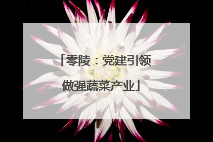 零陵：党建引领 做强蔬菜产业