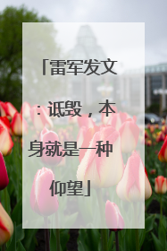 雷军发文：诋毁，本身就是一种仰望