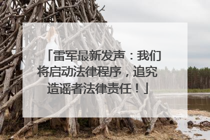 雷军最新发声：我们将启动法律程序，追究造谣者法律责任！