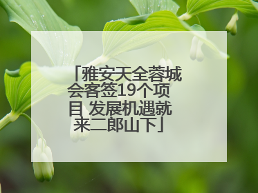 雅安天全蓉城会客签19个项目 发展机遇就来二郎山下