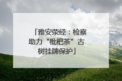 雅安荥经：检察助力“枇杷茶”古树挂牌保护