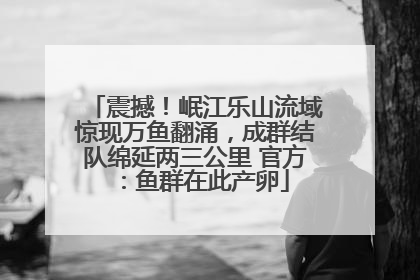 震撼！岷江乐山流域惊现万鱼翻涌，成群结队绵延两三公里 官方：鱼群在此产卵
