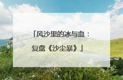 风沙里的冰与血：复盘《沙尘暴》