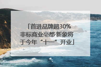 首进品牌超30% 非标商业亳都·新象将于今年“十一”开业