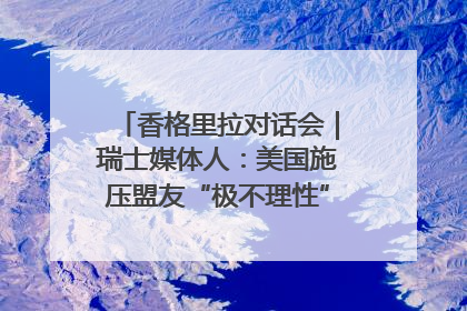 香格里拉对话会｜瑞士媒体人：美国施压盟友“极不理性” 欧洲国家无意与中国“脱钩断链”