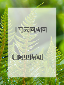 马云回应回归阿里传闻