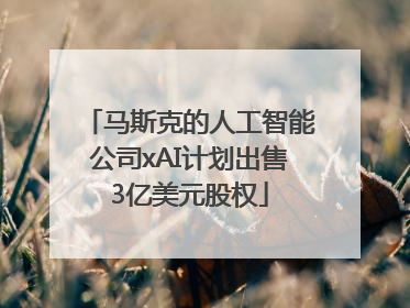 马斯克的人工智能公司xAI计划出售3亿美元股权