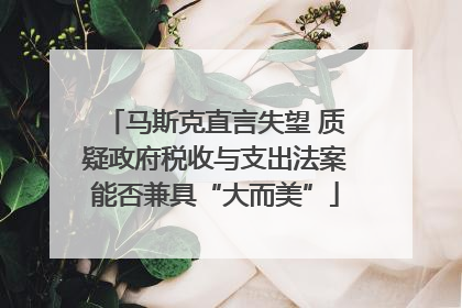 马斯克直言失望 质疑政府税收与支出法案能否兼具“大而美”