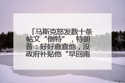 马斯克怒发数十条帖文“倒特”，特朗普：好好查查他，没政府补贴他“早回南非老家”了