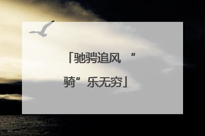 驰骋追风 “骑”乐无穷