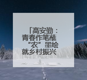 高安勤：青春作笔蘸“农”墨绘就乡村振兴壮美画卷