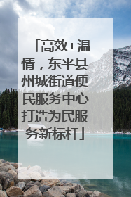 高效+温情，东平县州城街道便民服务中心打造为民服务新标杆
