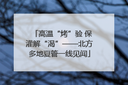 高温“烤”验 保灌解“渴”——北方多地夏管一线见闻
