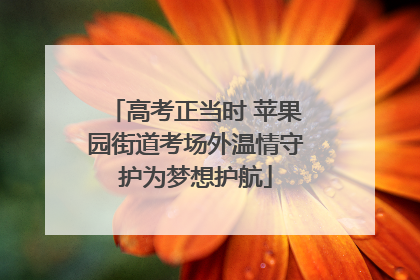 高考正当时 苹果园街道考场外温情守护为梦想护航