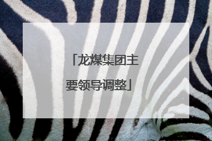 龙煤集团主要领导调整
