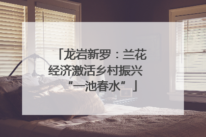 龙岩新罗：兰花经济激活乡村振兴“一池春水”