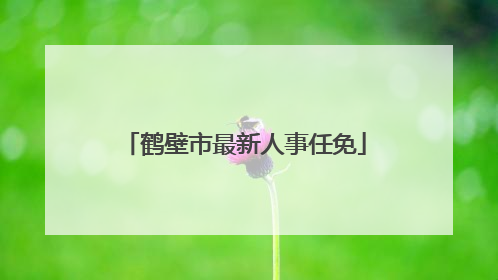 鹤壁市最新人事任免
